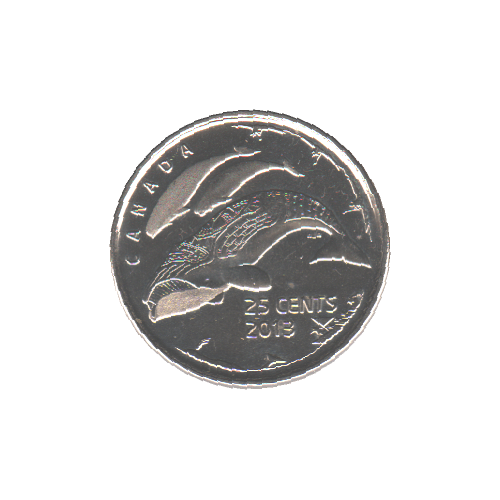 2013 25 cents BALEINES GIVRÉES BU (MS-64) - CHOICE +