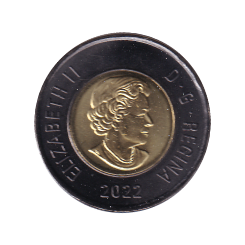 2022 Toonie (2$) BLACK RING TRIBUTE  BU (MS-66) GEM +