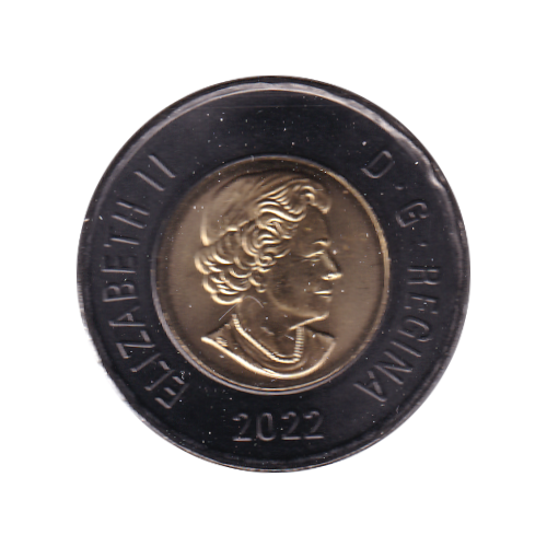 2022 Toonie (2$) BLACK RING TRIBUTE  BU (MS-69) SUPER GEM NEAR PERFECT