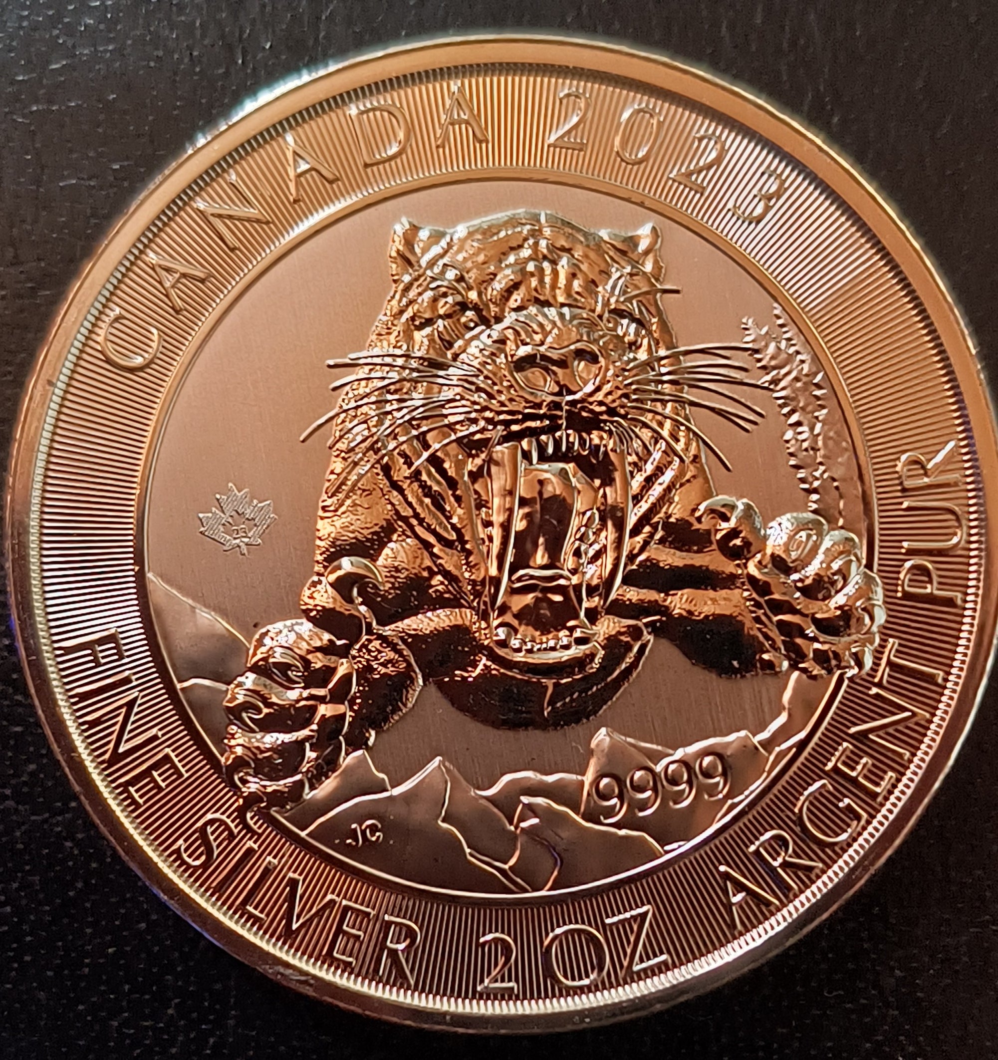 2023 Période glaciaire : Tigre à dents de sabre - 2 oz en argent pur à 99,99 % (produit d’investissement)
