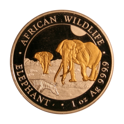 2026 Somalie 100 Shillings Dorée - African Wildlife Elephant - 1 oz Argent pur .9999