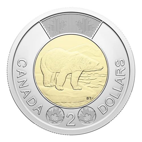 2026 Ensemble 5 pièces: Première frappe - BU HAUTE QUALITÉ