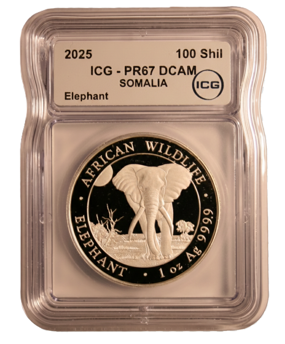2025 Somalie 100 Shillings - CERTIFIÉ ICG PR-67 DCAM - African Wildlife Elephant - 1 oz Argent pur .9999