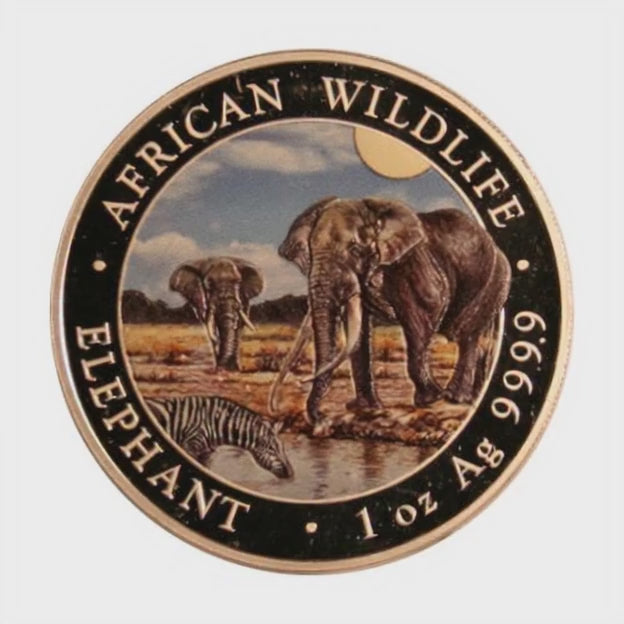 2026 Somalie 100 Shillings Couleur - African Wildlife Elephant - 1 oz Argent pur .9999